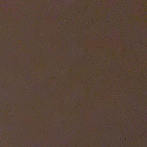 Meet your Posher, Jayce